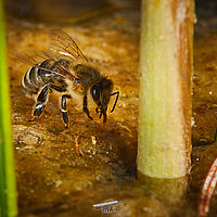 2025-05-11 12-22-27 113055000543