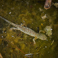 2025-05-13 19-19-03 113055000543