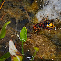 2025-05-13 19-20-46 113055000543