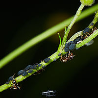 2025-05-13 19-33-25 113055000543