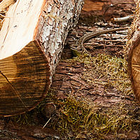 2025-05-31 15-56-17 113055000543