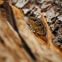 2025-05-31 16-00-54 113055000543