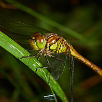 2025-07-27 09-41-45 113055000543