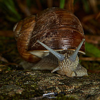 2025-07-27 09-44-12 113055000543