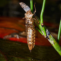 2025-07-27 14-14-21 113055000543