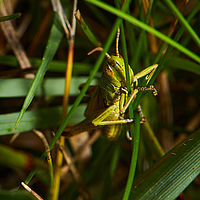 2025-07-27 14-16-14 113055000543