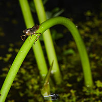 2025-07-27 14-19-26 113055000543