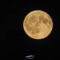 2025-08-09 22-01-16 113055000543