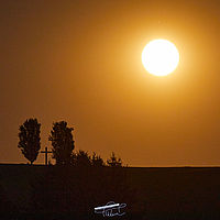 2025-08-09 22-06-30 113055000543 4