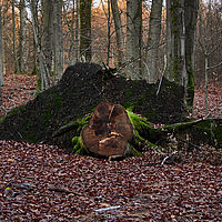 2025-12-21 15-56-32 113055000543