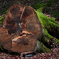 2025-12-21 15-56-49 113055000543