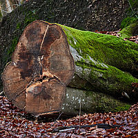 2025-12-21 15-57-35 113055000543