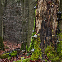 2025-12-21 15-58-16 113055000543