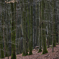 2025-12-21 15-59-08 113055000543