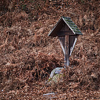 2025-12-21 16-19-09 113055000543