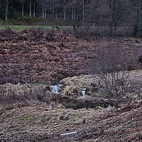 2025-12-21 16-21-43 113055000543