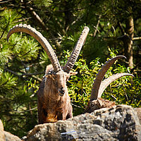 2025-04-21 11-03-33 113055000543