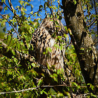 2025-04-21 11-11-45 113055000543