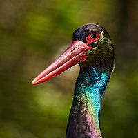 2025-04-21 11-20-37 113055000543