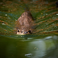 2025-04-21 11-26-37 113055000543 1