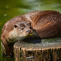 2025-04-21 11-27-30 113055000543 1