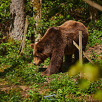 2025-04-21 11-34-33 113055000543