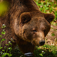 2025-04-21 11-39-56 113055000543 1