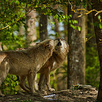 2025-04-21 12-04-11 113055000543