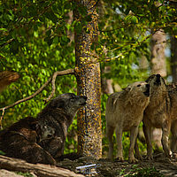 2025-04-21 12-04-19 113055000543 1