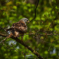 2025-04-21 12-09-30 113055000543