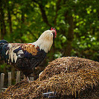 2025-04-21 12-30-34 113055000543