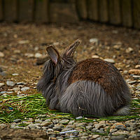 2025-04-21 12-31-07 113055000543