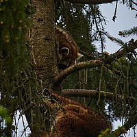 2025-04-21 12-35-22 113055000543 1