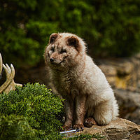 2025-04-21 12-35-32 113055000543 4