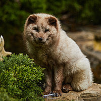 2025-04-21 12-35-43 113055000543 2