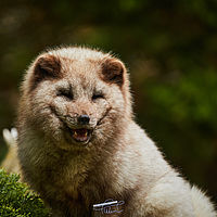 2025-04-21 12-35-57 113055000543