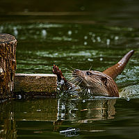 2025-04-21 13-11-31 113055000543 3