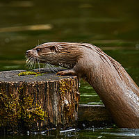 2025-04-21 13-11-33 113055000543