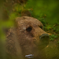 2025-04-21 13-17-39 113055000543 1