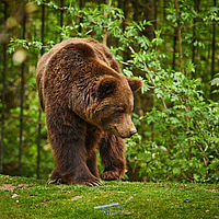 2025-04-21 13-19-02 113055000543