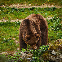 2025-04-21 13-20-51 113055000543