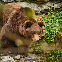 2025-04-21 13-22-10 113055000543 1