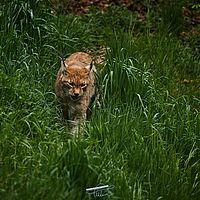 2025-04-21 13-26-31 113055000543