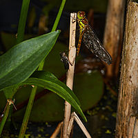 2025-07-27 14-21-30 113055000543