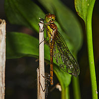 2025-07-27 14-25-04 113055000543