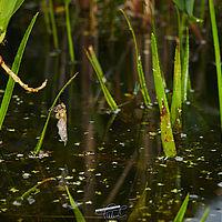 2025-07-27 15-41-47 113055000543