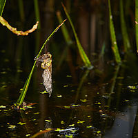 2025-07-27 15-44-23 113055000543