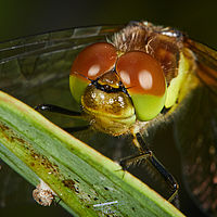 2025-07-27 16-14-08 113055000543