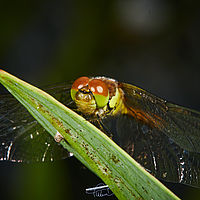 2025-07-27 16-17-03 113055000543