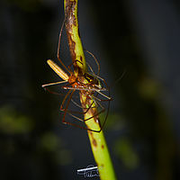 2025-07-27 17-13-57 113055000543